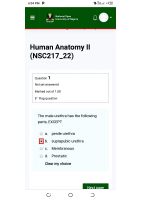 NSC217 TMA3.pdf